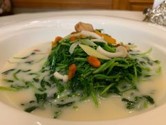 上汤豌豆苗-樱苑(四川北路店)