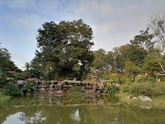 -东莞植物园