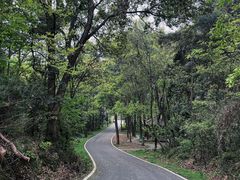 -青龙山国家森林公园