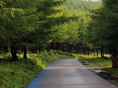 -红崖峡谷景区