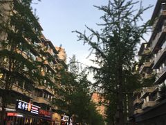 -奎星楼街