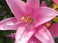 -长春公园(普阳街道)