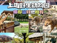 -上海野生动物园