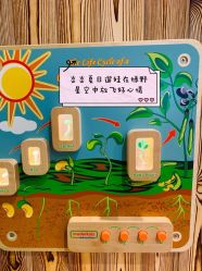 -绿野星空儿童乐园
