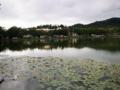 -北京师范大学(珠海校区)
