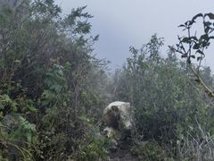-灵山