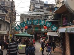 -猫咪博物馆(顶澳仔猫街店)