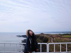 -涉地可支