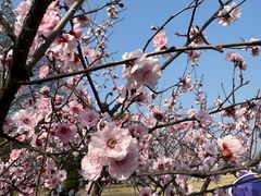 -钟山体育运动公园