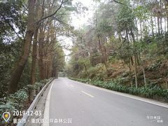 -铁山坪森林公园