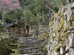 -唐崖土司城遗址