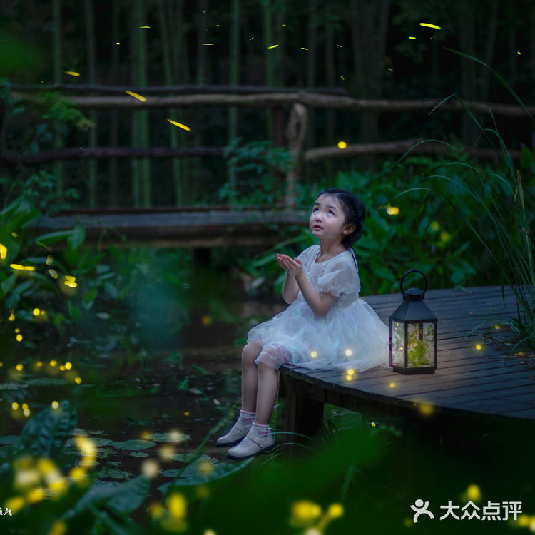 🌟莫干山zui梦幻的萤火虫基地,私藏的宝藏地
