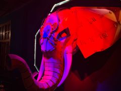 -疯克大象美式烤肉餐厅