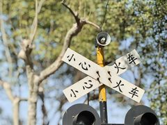 -顾村公园