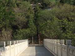 -白水寺森林公园