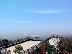 -紫金山山顶公园