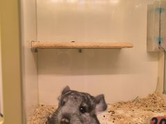 -龙猫仔乐园(惠福东路店)