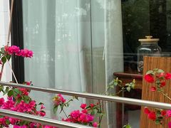 -安琪盲人按摩调理草本熏蒸馆(风和日丽店)