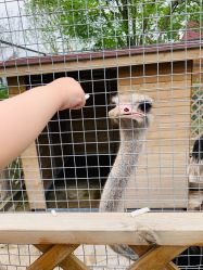 -萌宠亲子动物乐园(槐房万达店)