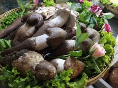 -蔼若春.传承三十年云南菜(金碧公园店)