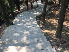 -火炉山森林公园
