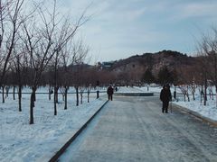 -北山公园