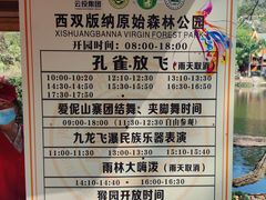 -西双版纳原始森林公园