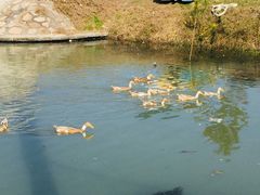 景观位-乡乐园蟹庄·阳澄湖农家乐