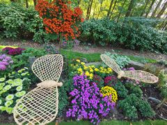 -上海共青森林公园