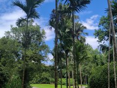 -中国科学院西双版纳热带植物园