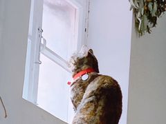 -小时光咖啡馆(北锣鼓巷店)