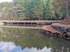 -四明山国家森林公园