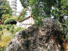 -巢湖姥山岛