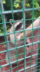 -萌宠亲子动物乐园(槐房万达店)