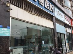 -菲尔斯特宠物医院