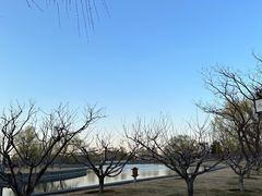 -西海子公园