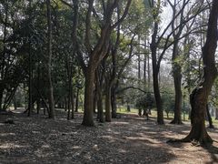 -杭州植物园