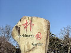 -朴园