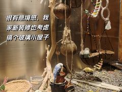 -吾叁·吉趣鸟咖(万科店)