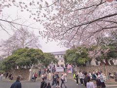-武汉大学-樱园