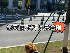 -东莞松山湖万象汇