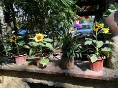 -园林美食城·本土农家菜(杨和镇店)