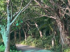 -深圳国际园林花卉博览园