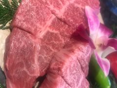 -神户牛焼肉専門店 牛一(道顿堀店)