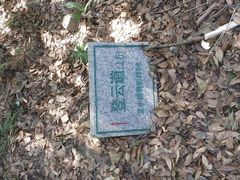 -梧桐山风景名胜区