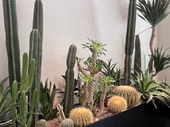 -J Create城市露营咖啡·简餐·宠物(上海动物园店)