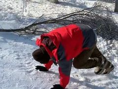 -沈阳奥体冰雪嘉年华