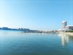 -五缘湾湿地公园