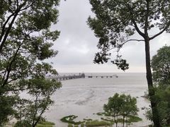 -平湖九龙山旅游度假区