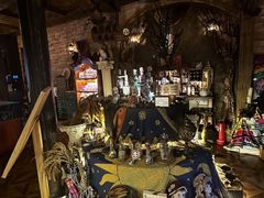-雪灵魔法世界SHELLY’S TAROT(大良桂畔里店)